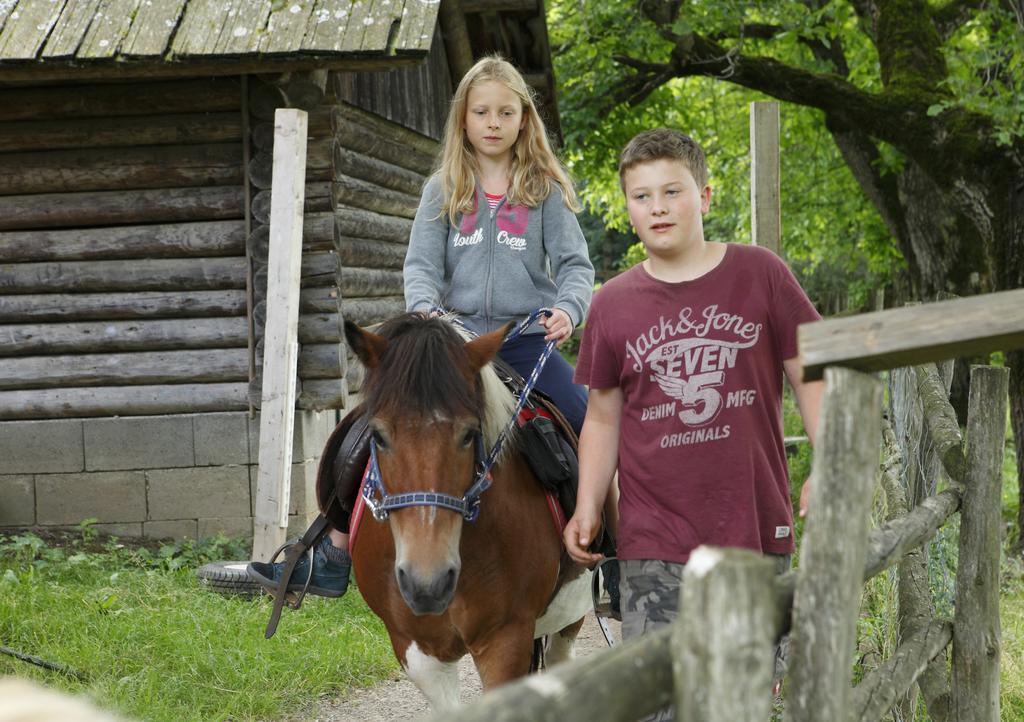 Allesbauer - Familie Preis Trebesing Exterior foto